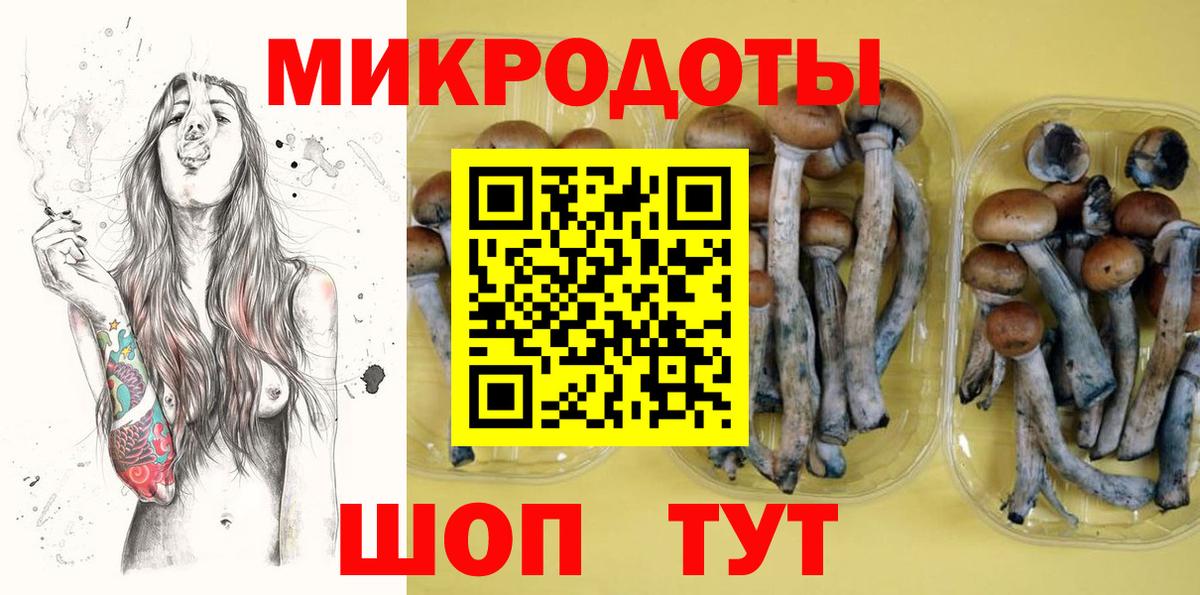 Галлюциногенные грибы Magic Shrooms  сколько стоит  Ставрополь  Вход с VPN  Псилоцибиновые грибы Psilocybe 